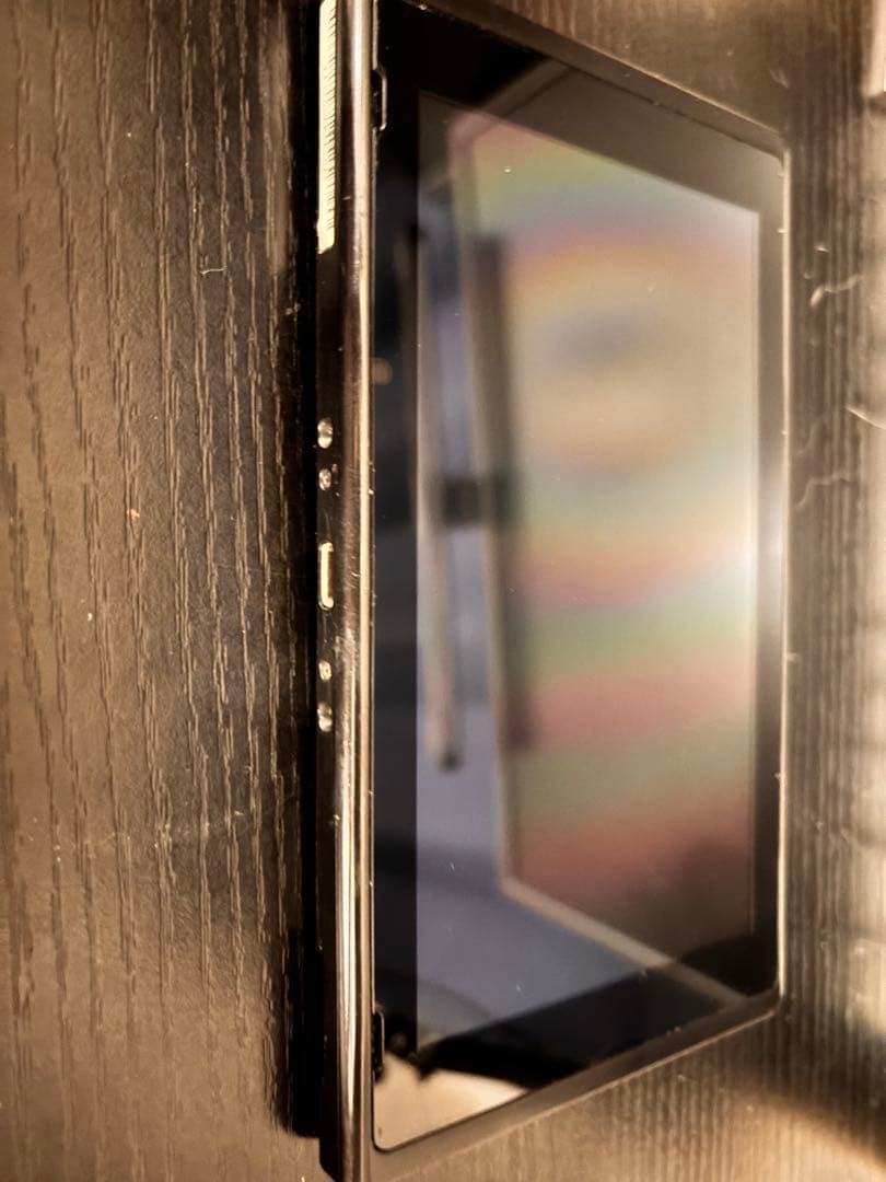 Nintendo Switch 本体 のみ