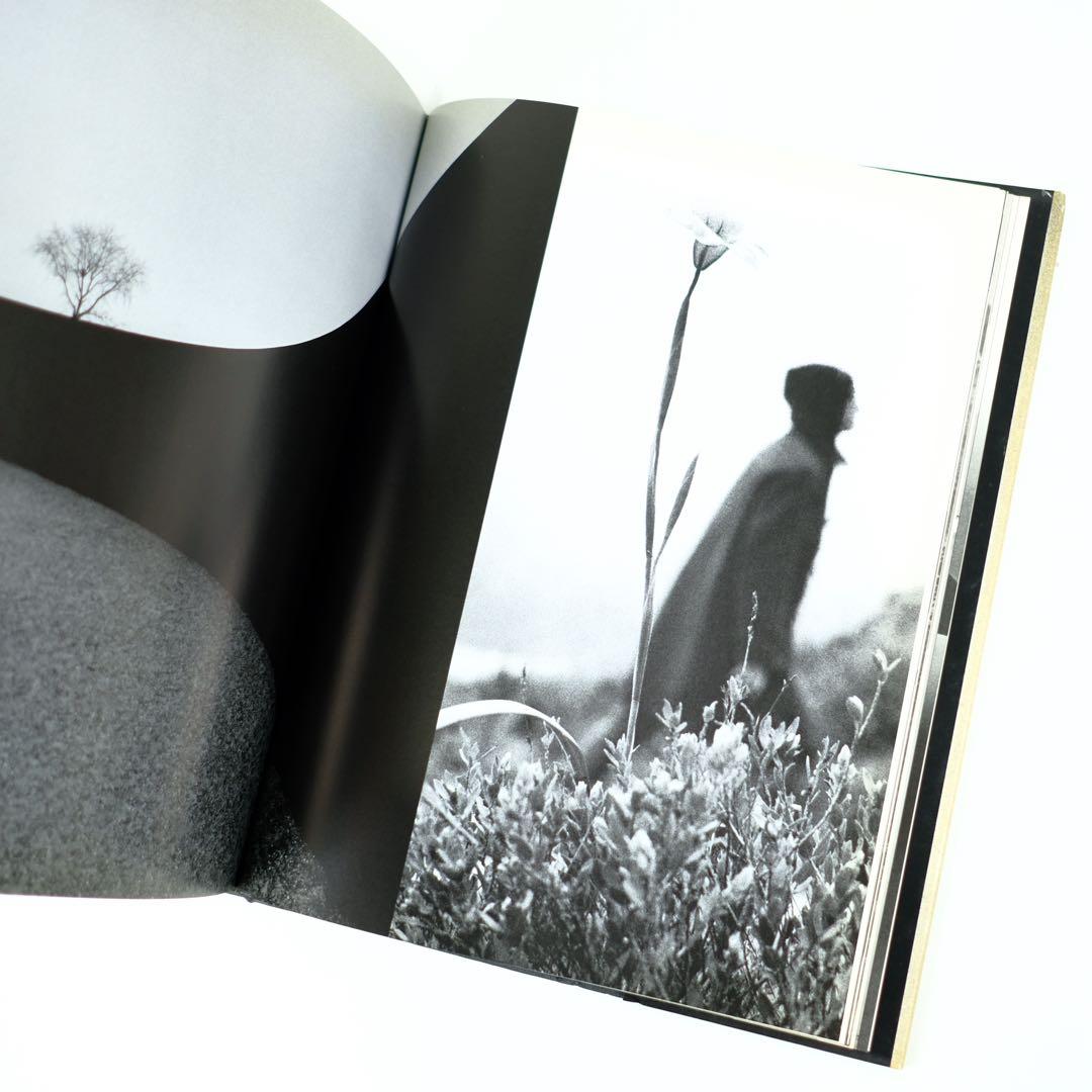 アート・デザイン・音楽 COWBOY KATE &  Sam Haskins