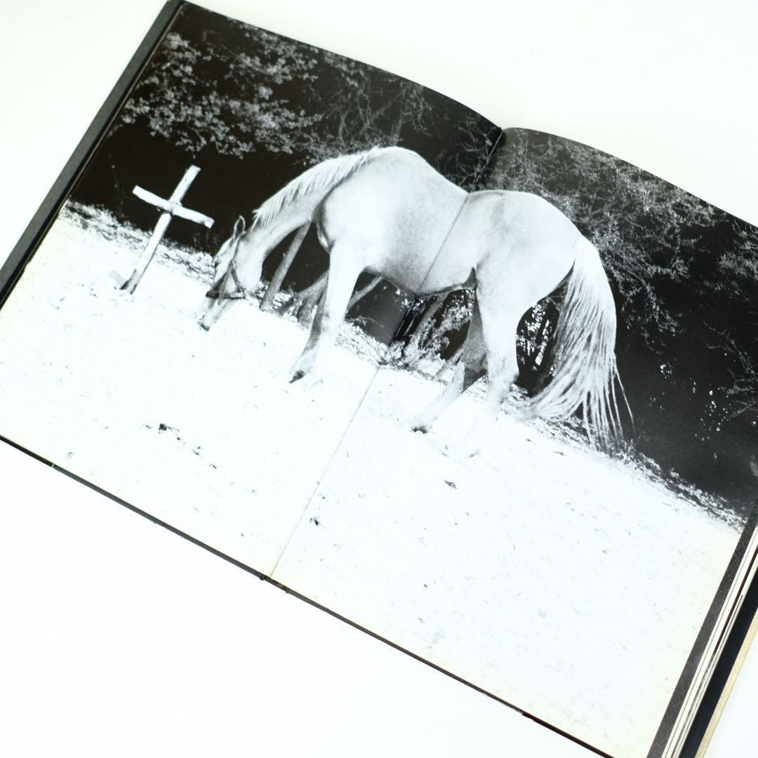 アート・デザイン・音楽 COWBOY KATE &  Sam Haskins