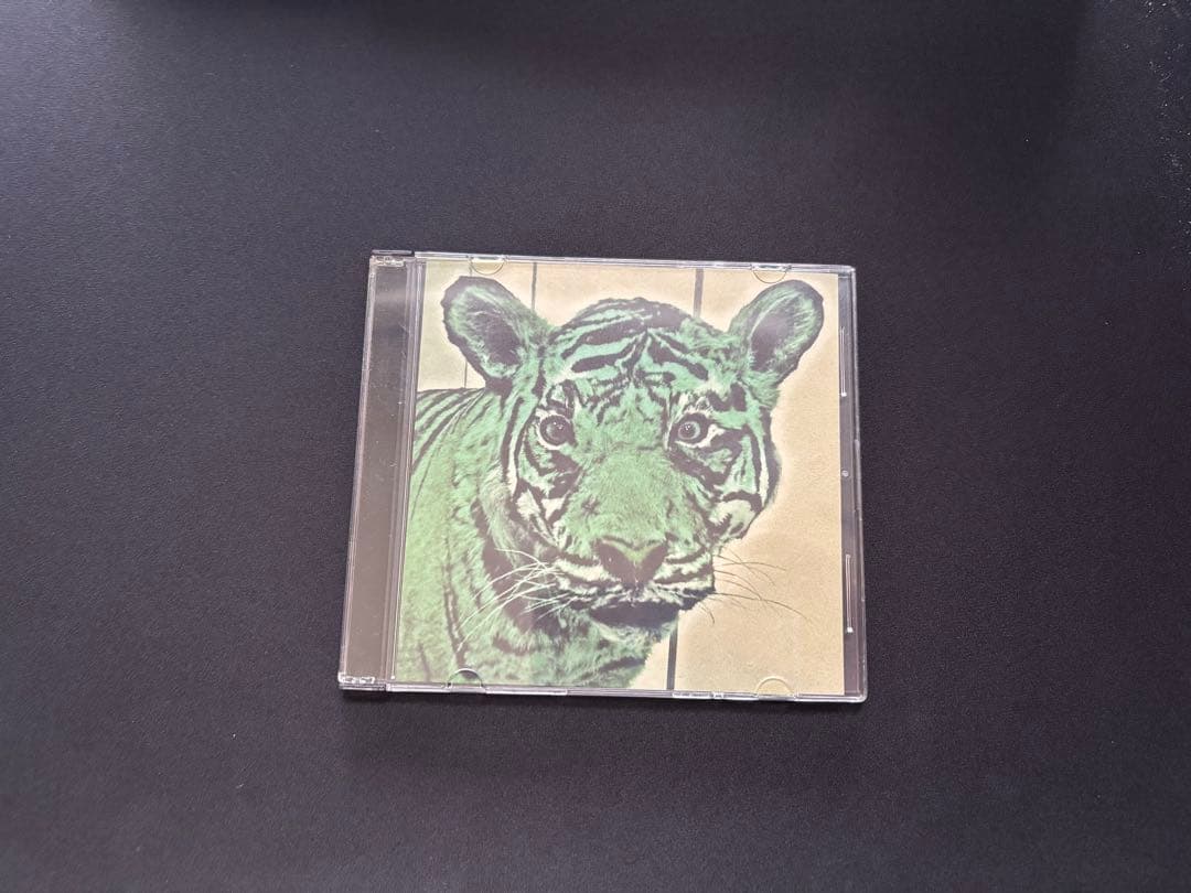 JJJ GGG 廃盤　 Fla$hBackS Febb レア