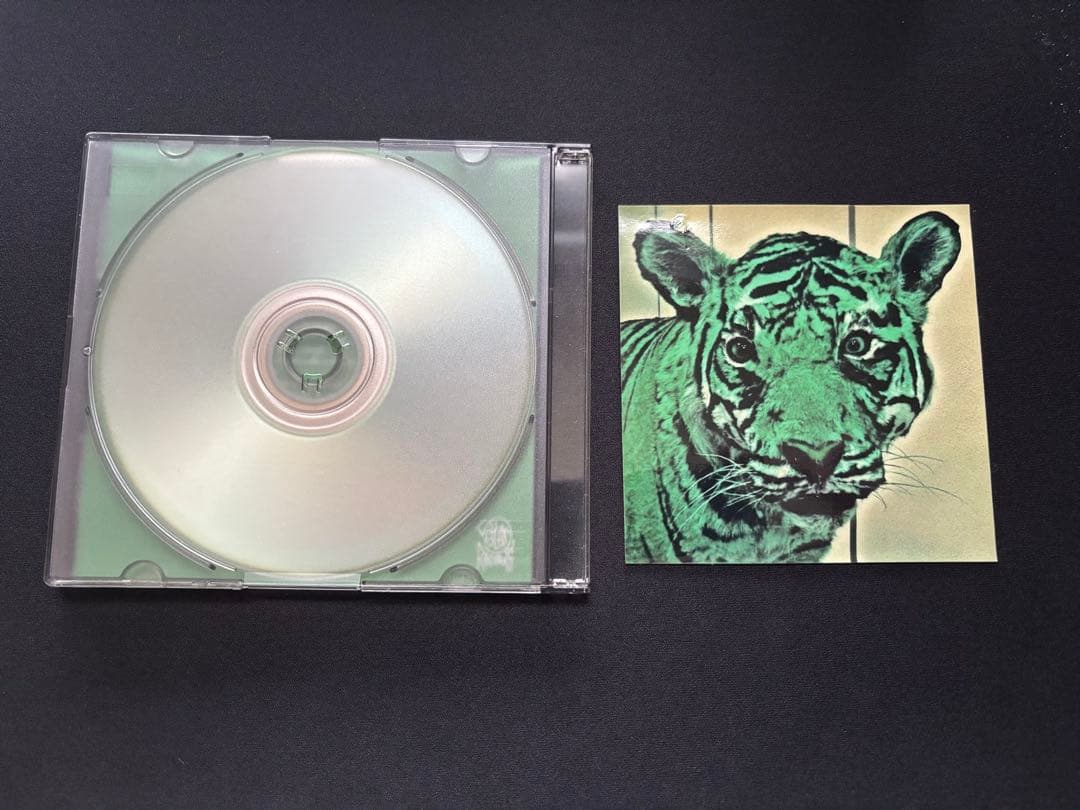 JJJ GGG 廃盤　 Fla$hBackS Febb レア