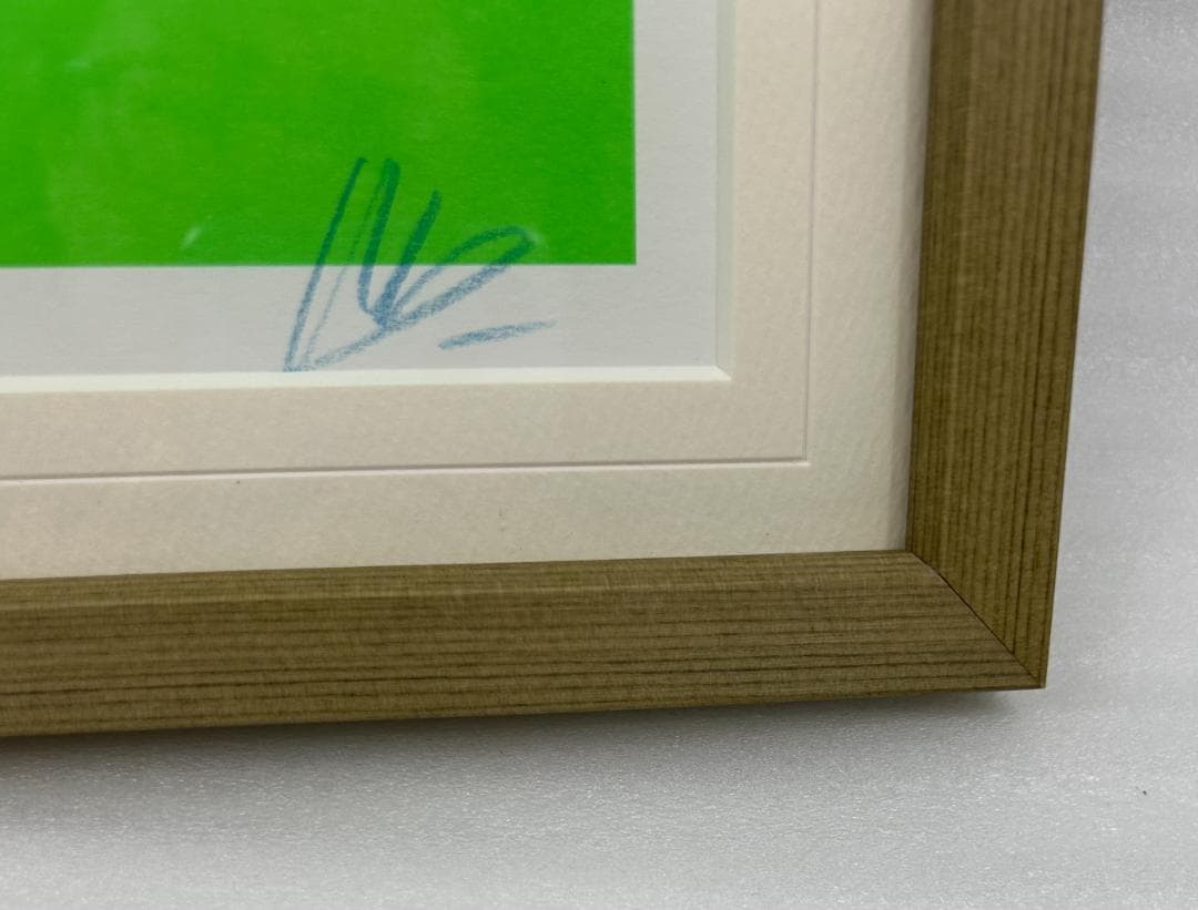 天野タケル 『Venus』複製原画サイン入り NEON GREEN +イラスト集