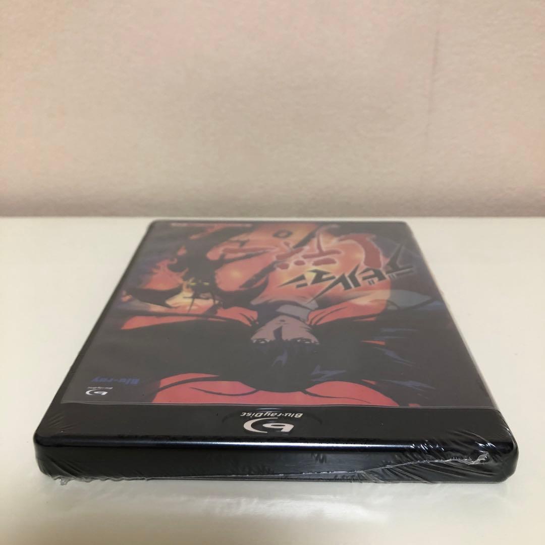 想い出のアニメライブラリー 第98集 デビルマンレディー〈2枚組〉