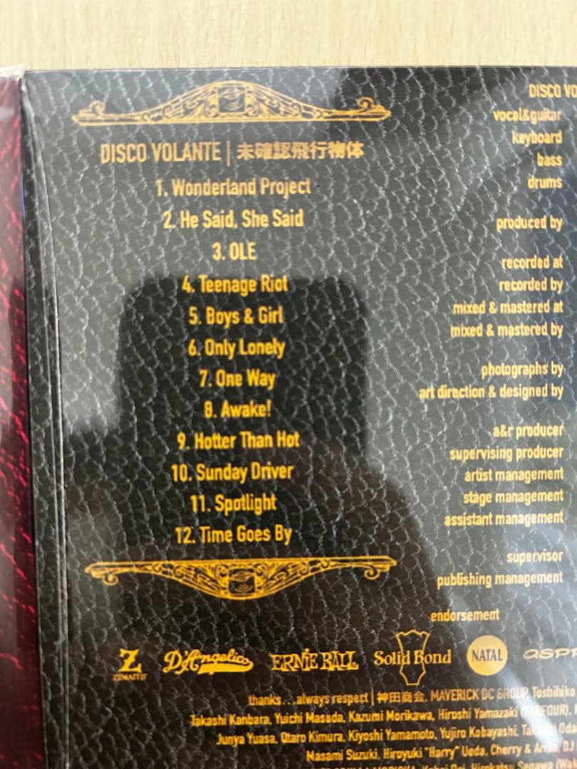 DISCO VOLANTE 未確認飛行物体 飛行物体確認 CD アルバム 高野哲