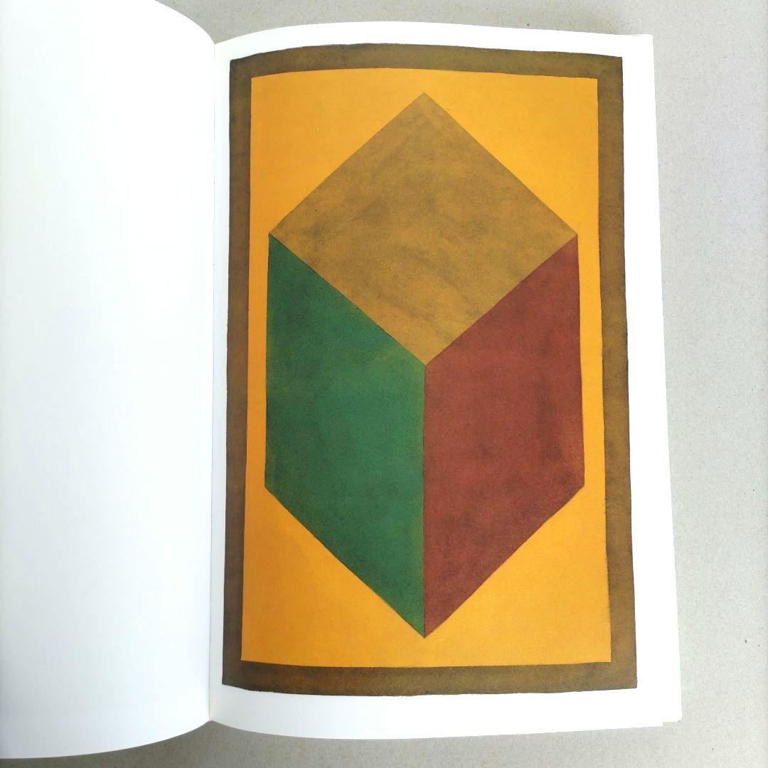 SOL LEWITT:100 CUBES/ソル・ルウィット 作品集 アート