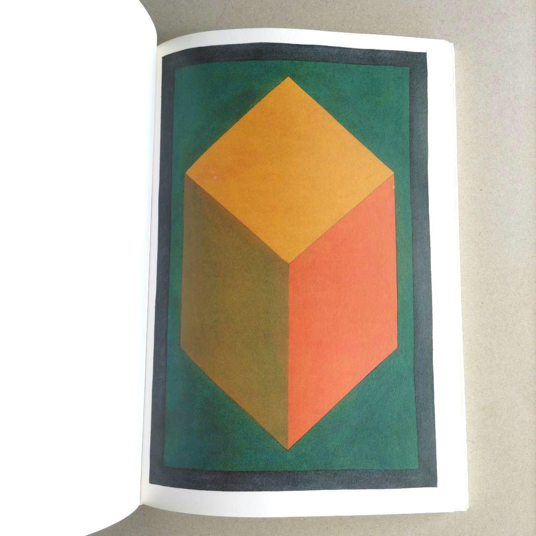 SOL LEWITT:100 CUBES/ソル・ルウィット 作品集 アート
