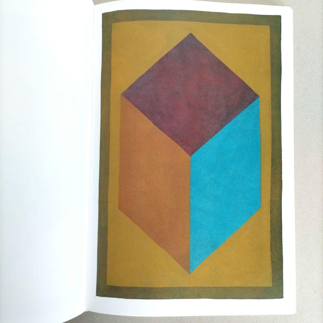 SOL LEWITT:100 CUBES/ソル・ルウィット 作品集 アート