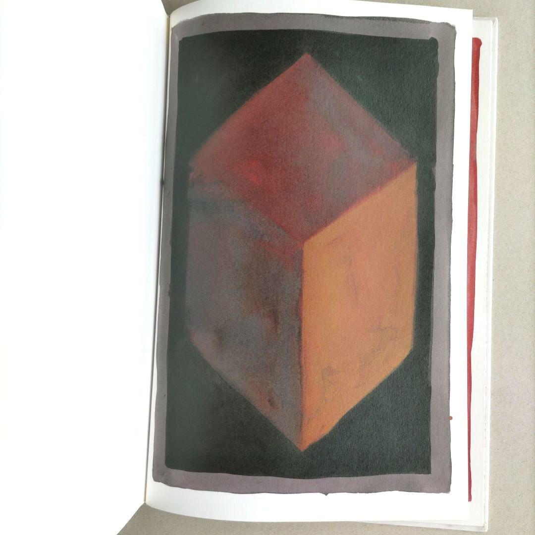 SOL LEWITT:100 CUBES/ソル・ルウィット 作品集 アート