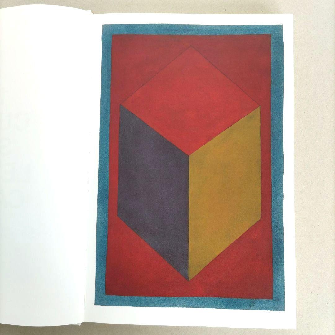SOL LEWITT:100 CUBES/ソル・ルウィット 作品集 アート
