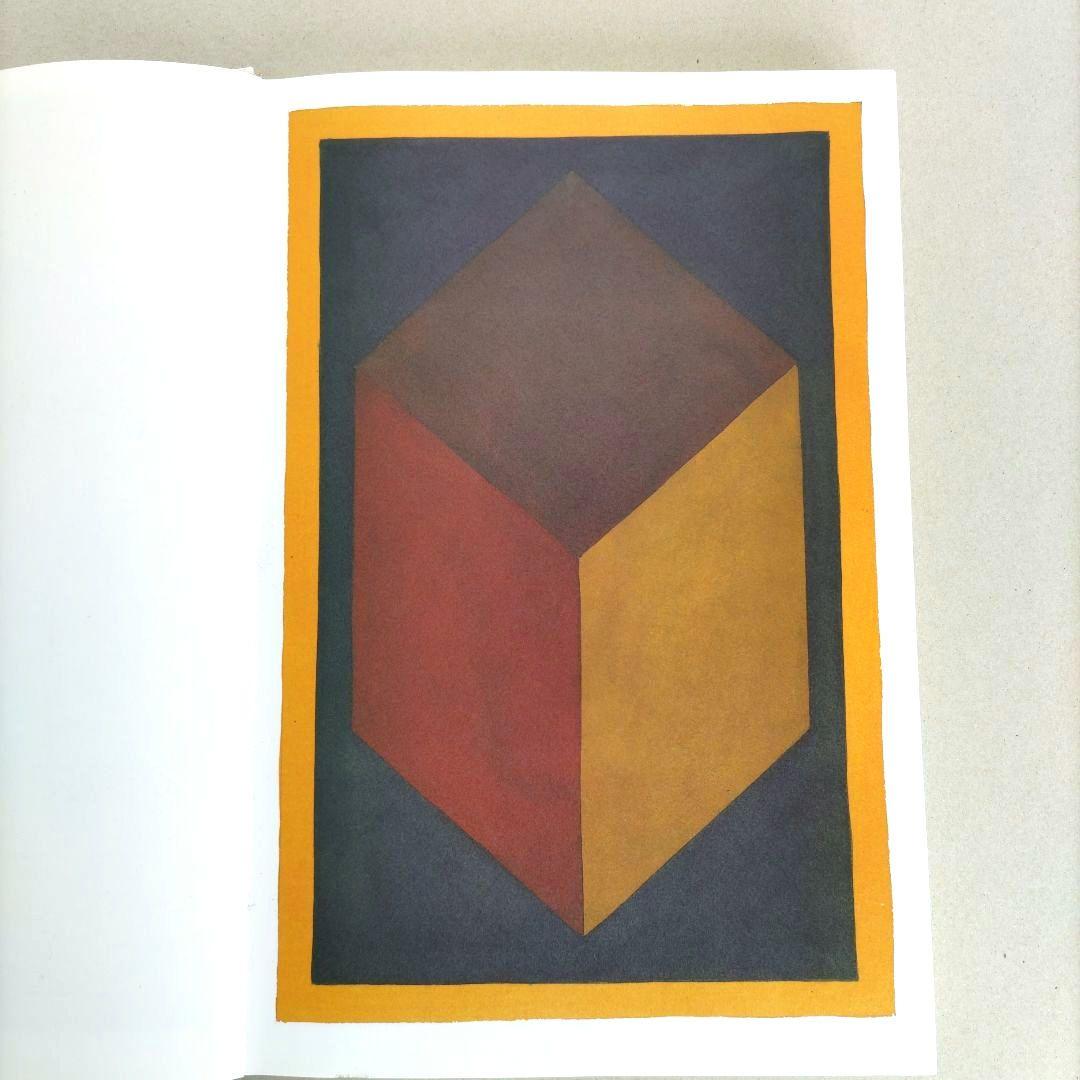 SOL LEWITT:100 CUBES/ソル・ルウィット 作品集 アート
