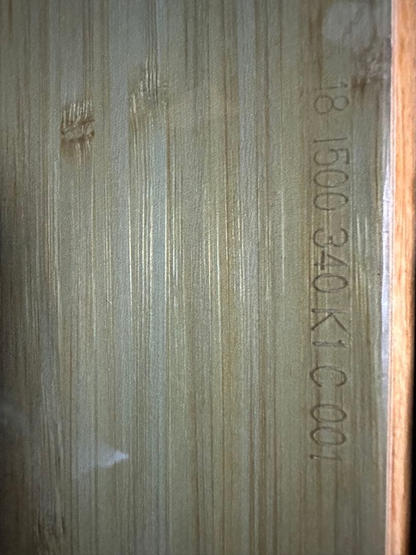 Su　レア　17-18 美品　GENTEMSTICK HORNET