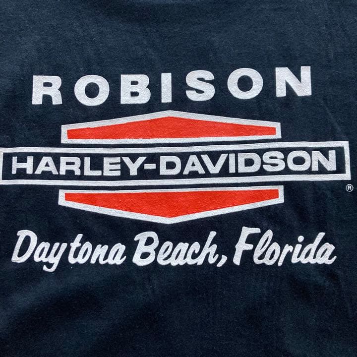80’s ビンテージ ハーレーダビッドソン Tシャツ L ROBISON