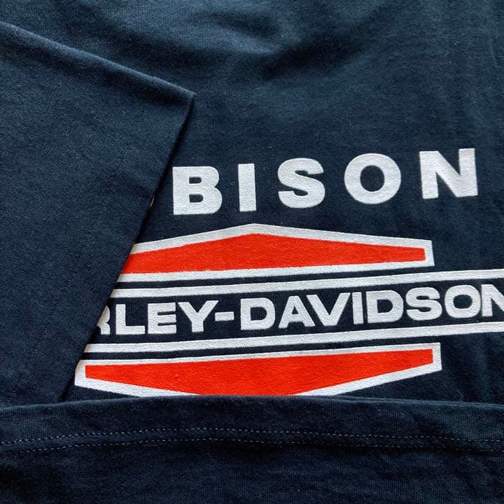 80’s ビンテージ ハーレーダビッドソン Tシャツ L ROBISON