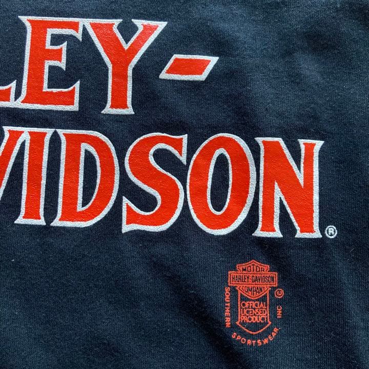 80’s ビンテージ ハーレーダビッドソン Tシャツ L ROBISON