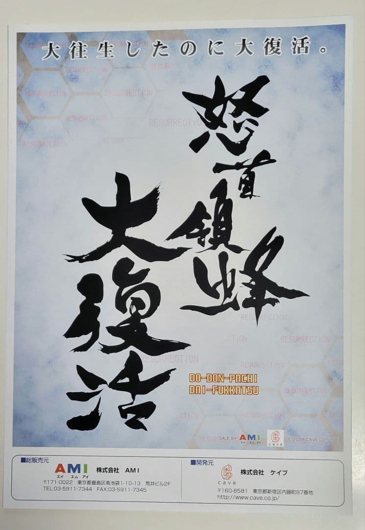 怒首領蜂大復活 パンフ cave dodonpachi 検)基板 基盤