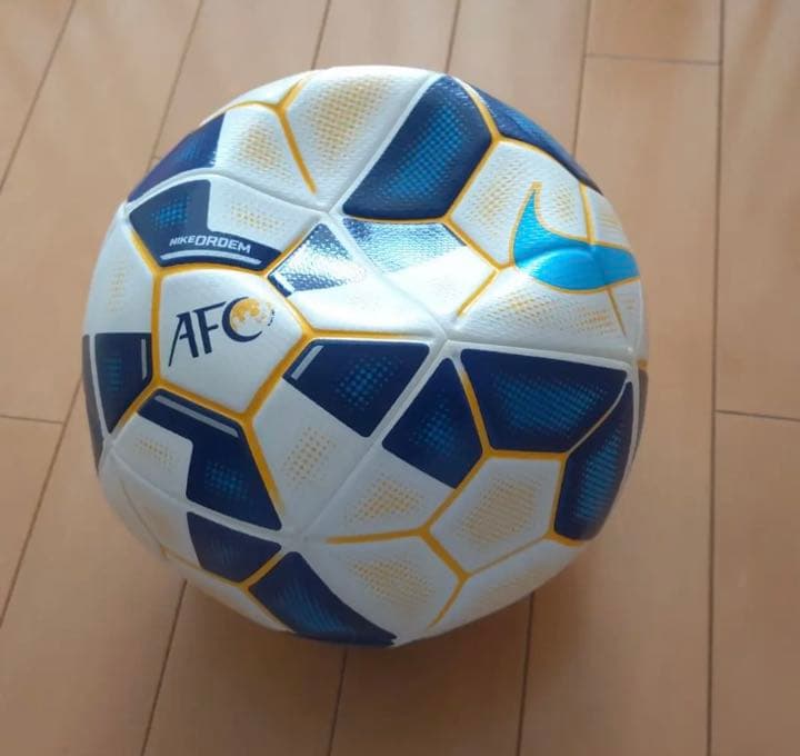 サッカーボール公式球 ナイキ オーデムⅡ