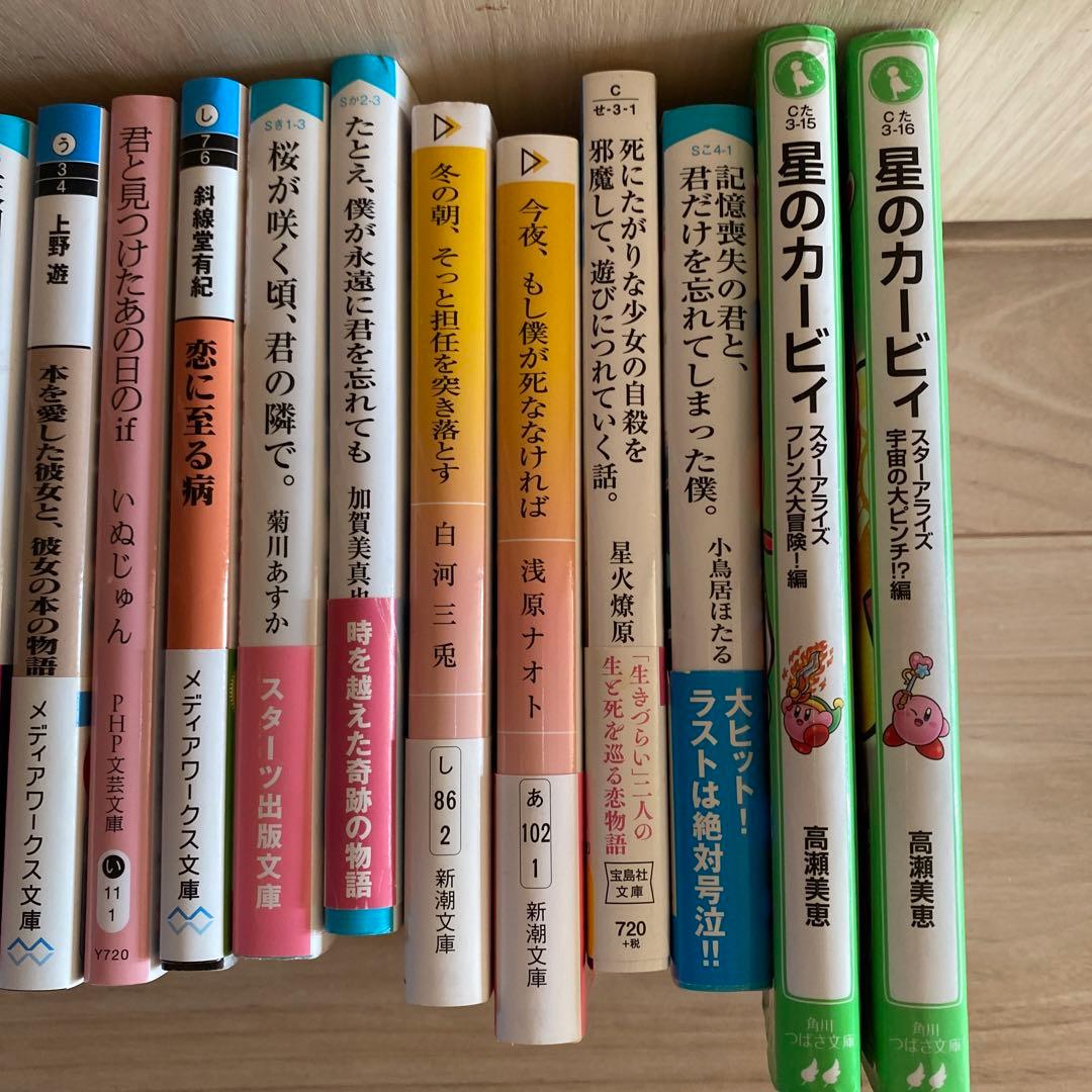 いぬじゅん　住野よる　小説　25冊　星のカービイ