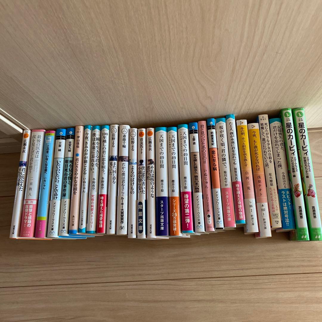 いぬじゅん　住野よる　小説　25冊　星のカービイ