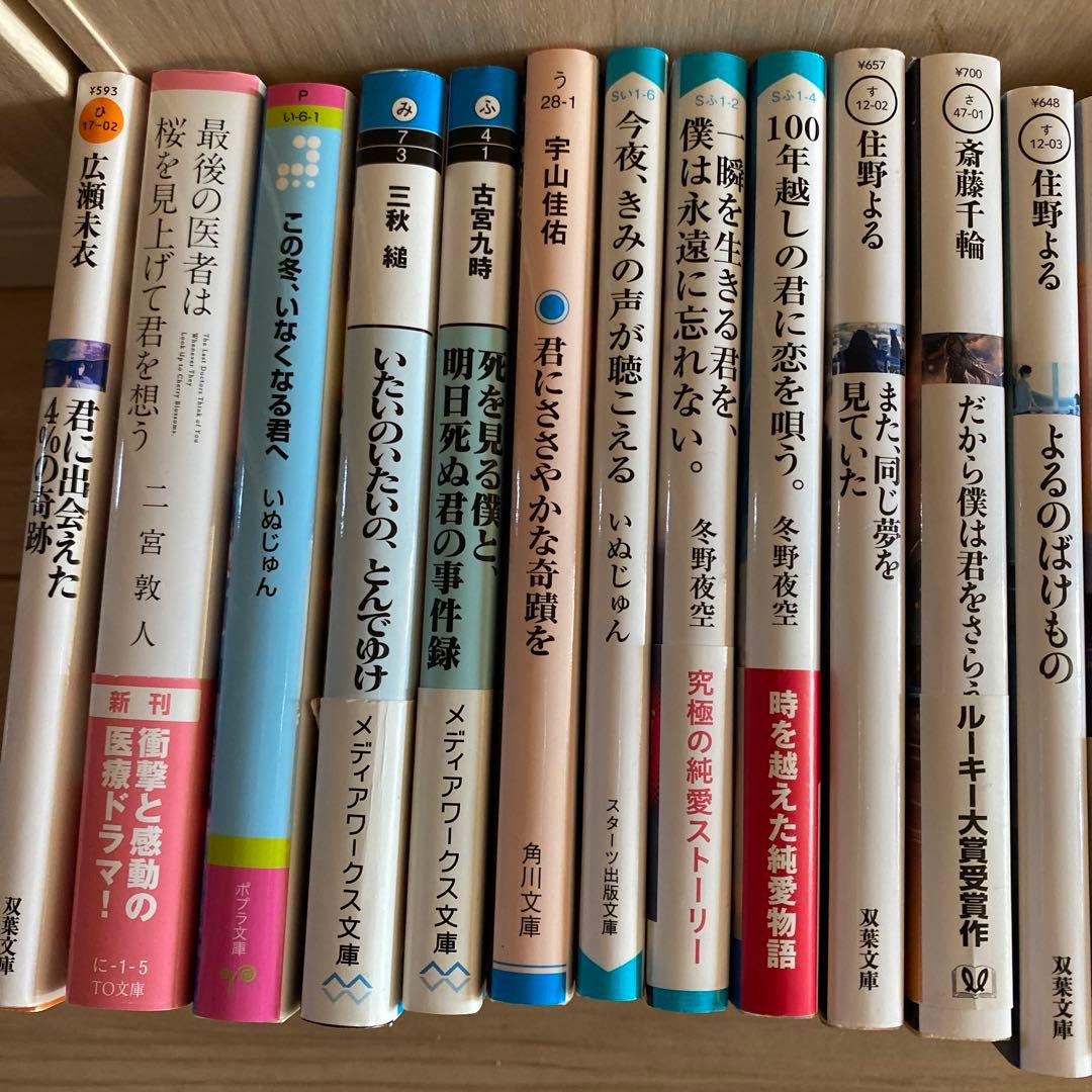 いぬじゅん　住野よる　小説　25冊　星のカービイ