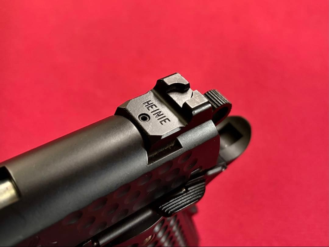 100 挺限定 KNIGHT HAWK custom ／WA