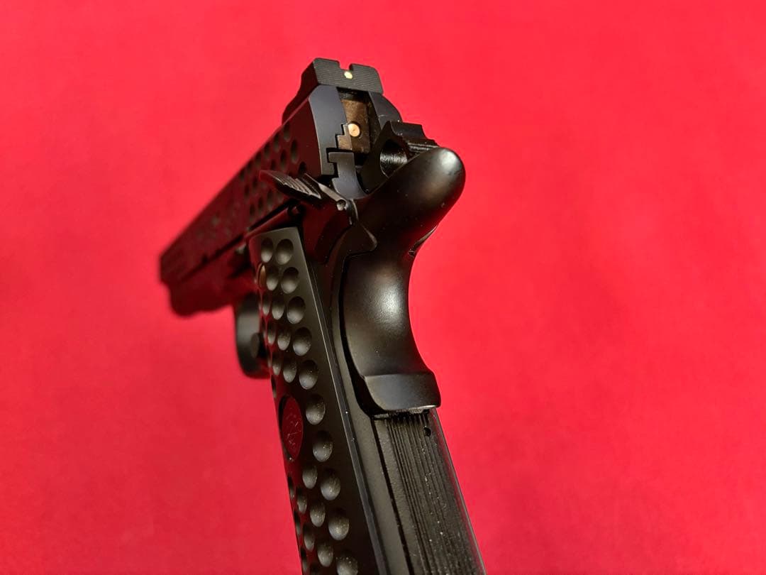 100 挺限定 KNIGHT HAWK custom ／WA