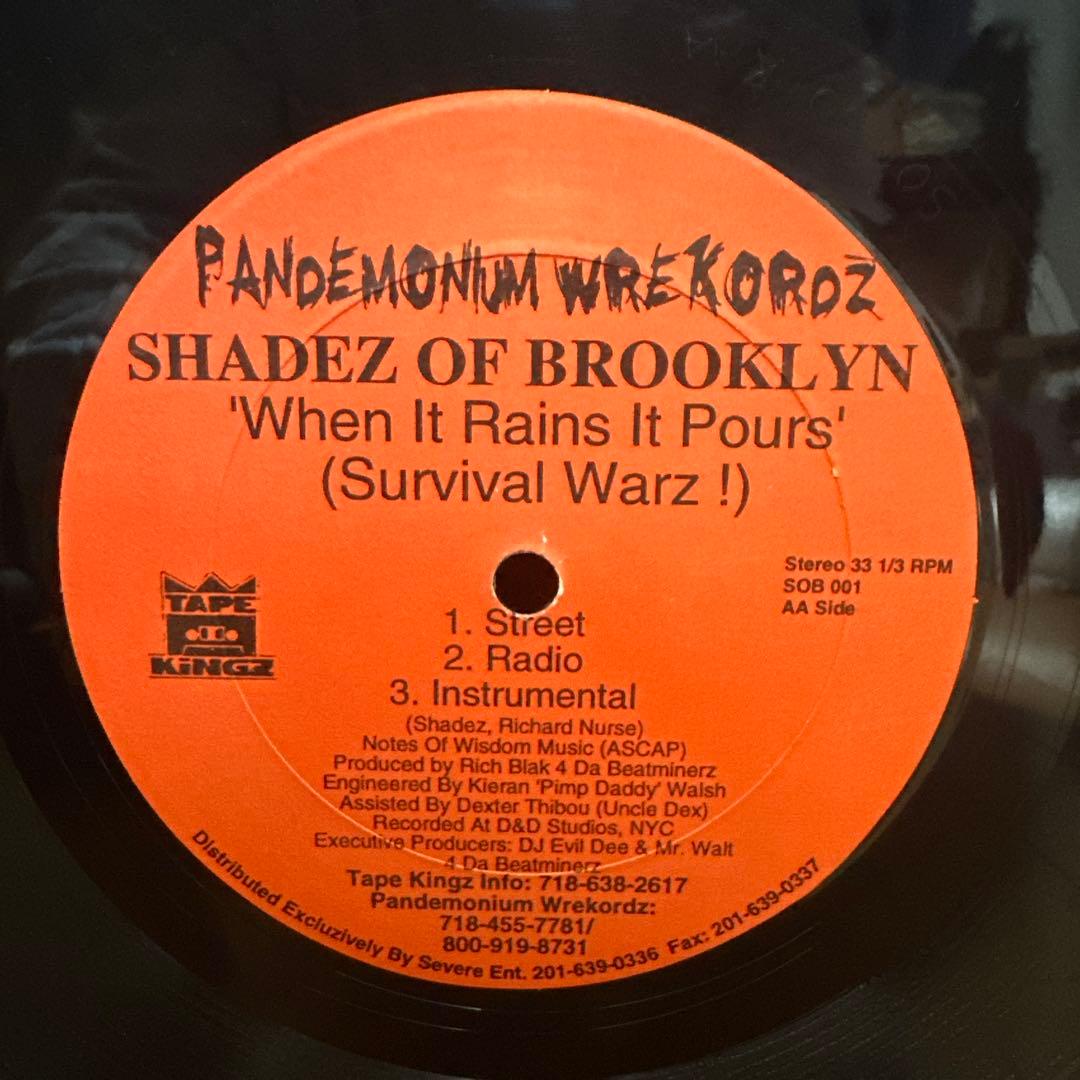 SHADEZ OF BROOKLYN Change 12インチ　レア