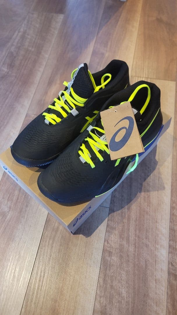 日本未発売アシックスGEL-RESOLUTION X クレー オムニ27.5cm