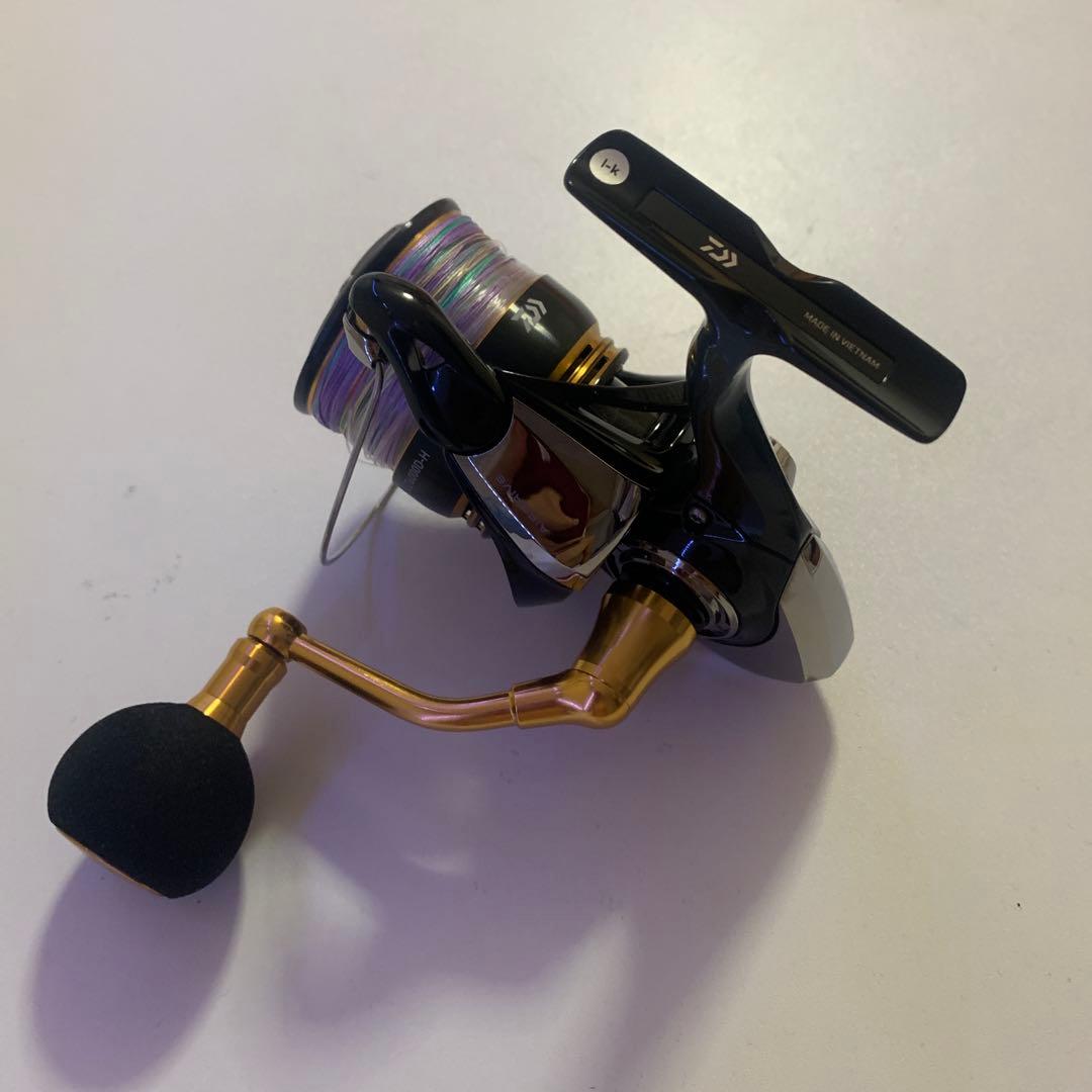 DAIWA LEGARIS LT6000D-Hリール
