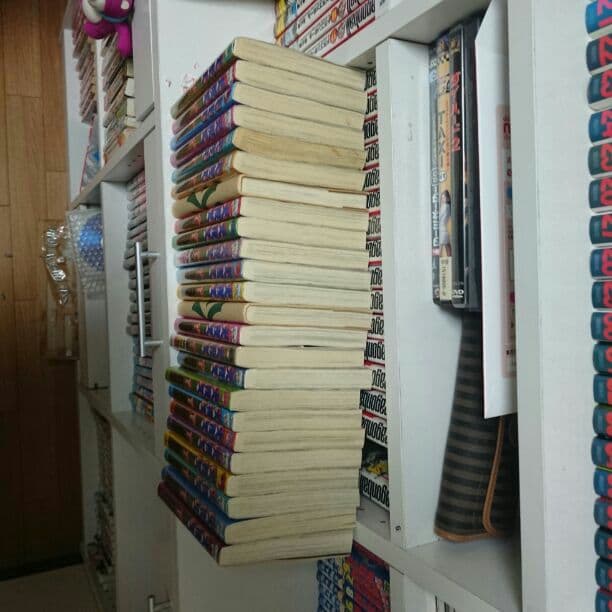 上からの犬夜叉