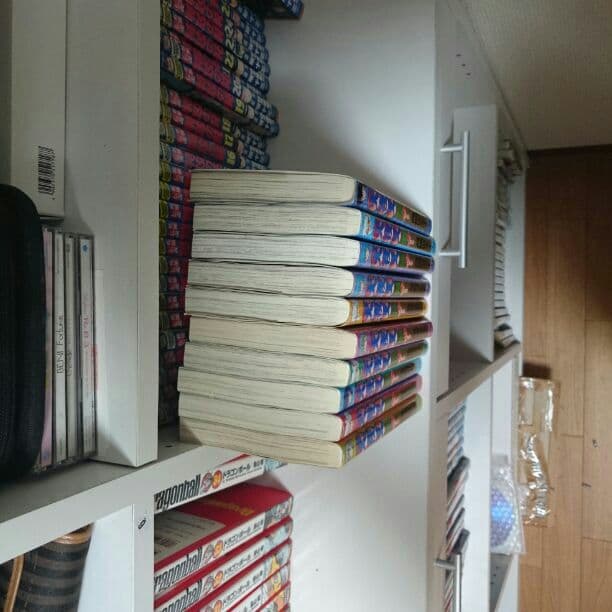 上からの犬夜叉