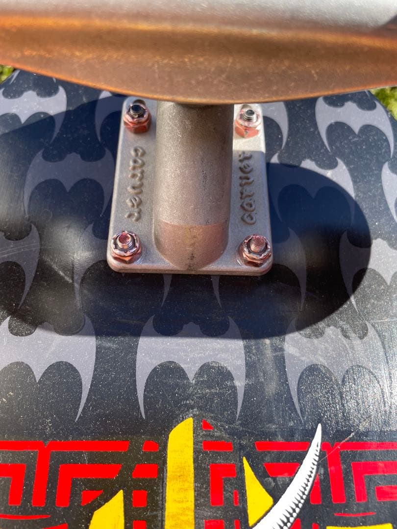 CARVER＆Powell Peralta Cabalera スケートボード