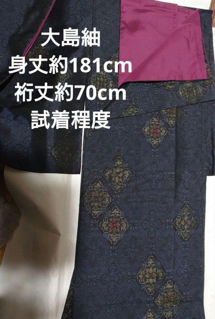 スーパートールサイズ 大島紬 着物 身丈181cm　裄丈69.8