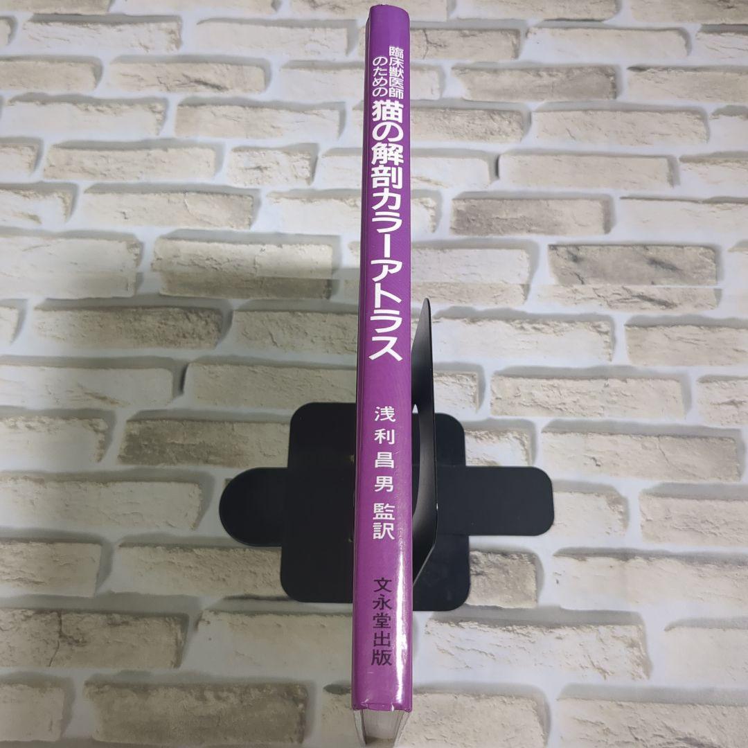 【美品】臨床獣医師のための猫の解剖カラーアトラス
