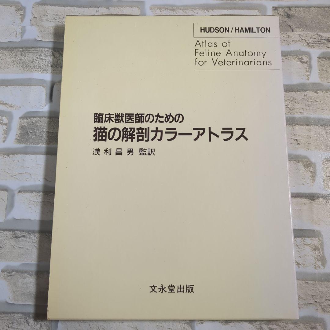 【美品】臨床獣医師のための猫の解剖カラーアトラス