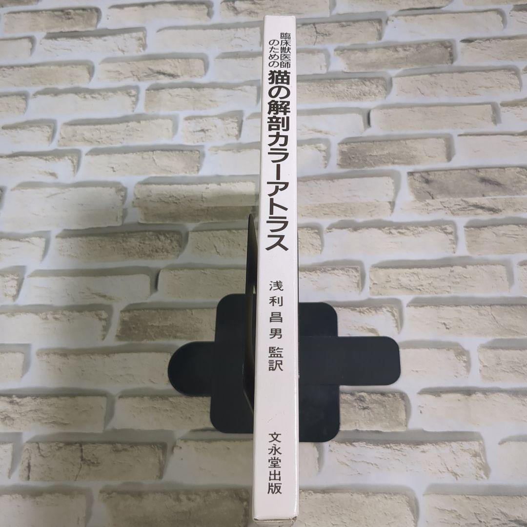 【美品】臨床獣医師のための猫の解剖カラーアトラス