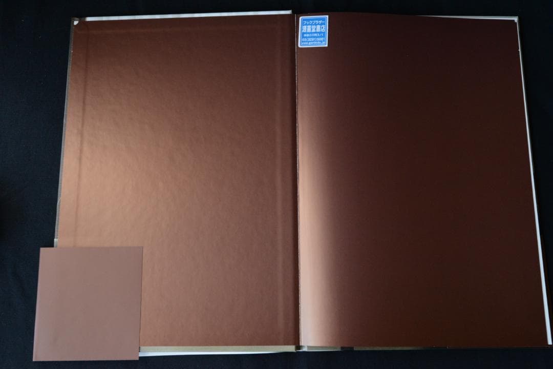 【Erwin Olaf：Grief】アーウィン・オラフ　1000部限定　帯付き