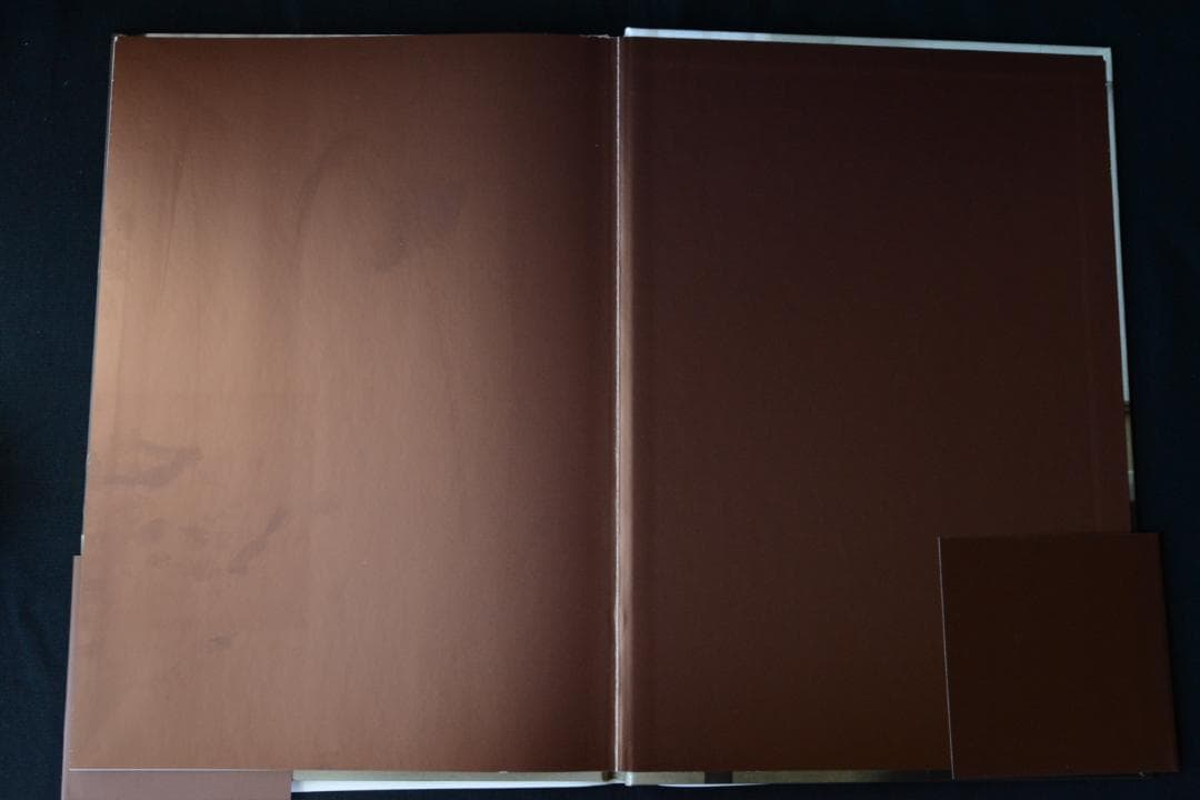 【Erwin Olaf：Grief】アーウィン・オラフ　1000部限定　帯付き