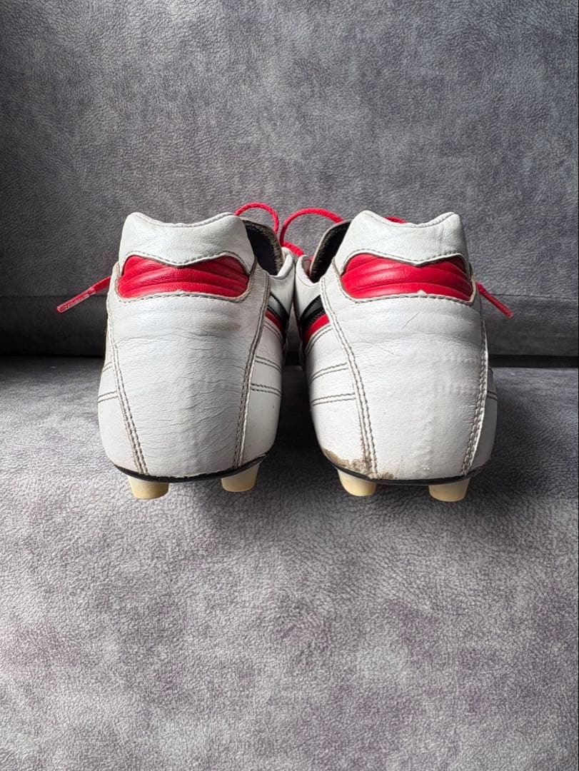 Mizuno Morelia モレリアネオ2Japan クロスステッチ26cm