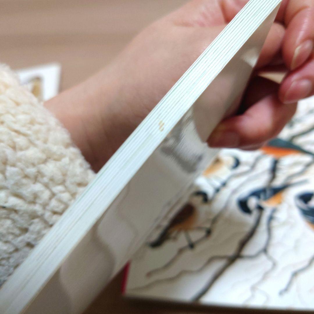 【極美品】ペーパーバック版　日本の野鳥セット　薮内正幸