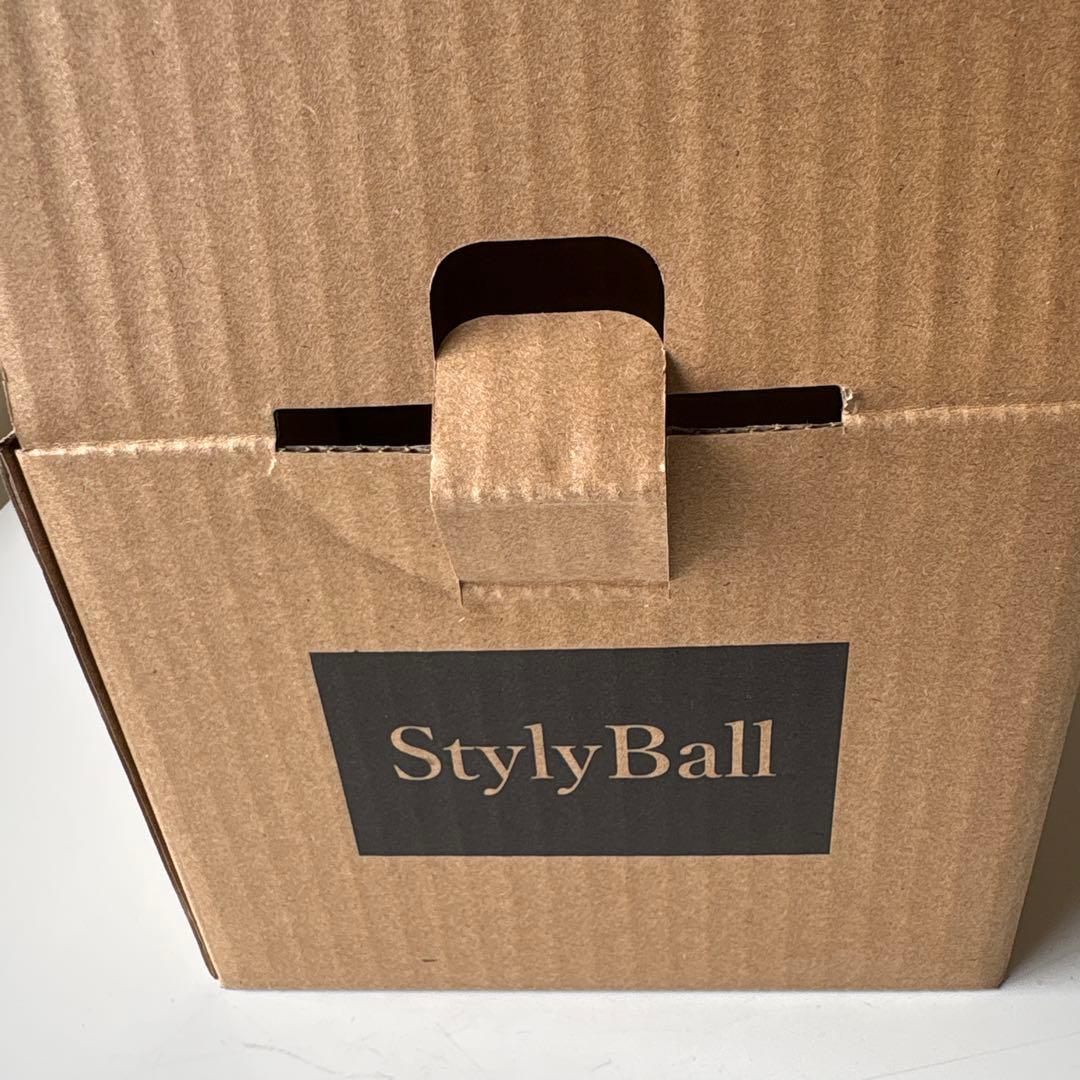 こづち様❣️[新品未使用]スタイリーボール　ブラック　型番SLB-100