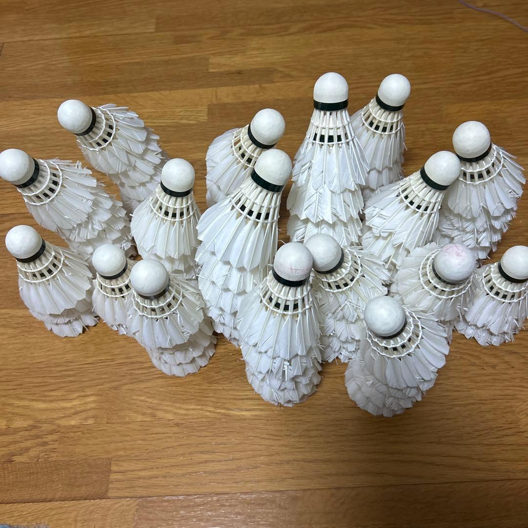 YONEX NEW OFFICIAL シャトル 6本セット パターン練習用