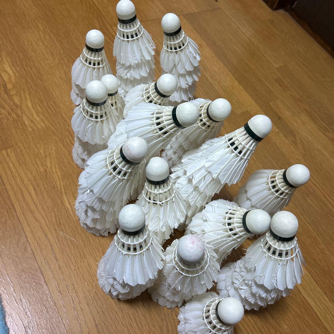 YONEX NEW OFFICIAL シャトル 6本セット パターン練習用