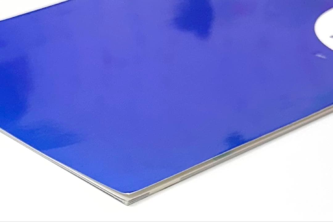 李相日 初監督作品 映画【青〜chong〜】パンフレット／眞島秀和、山本隆司