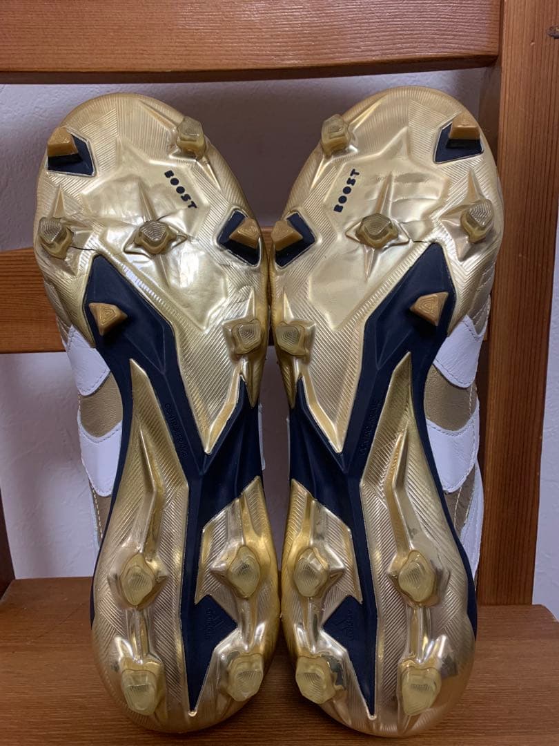 プレデターアクセレレイター　PredatorAccelerator　26cm新品