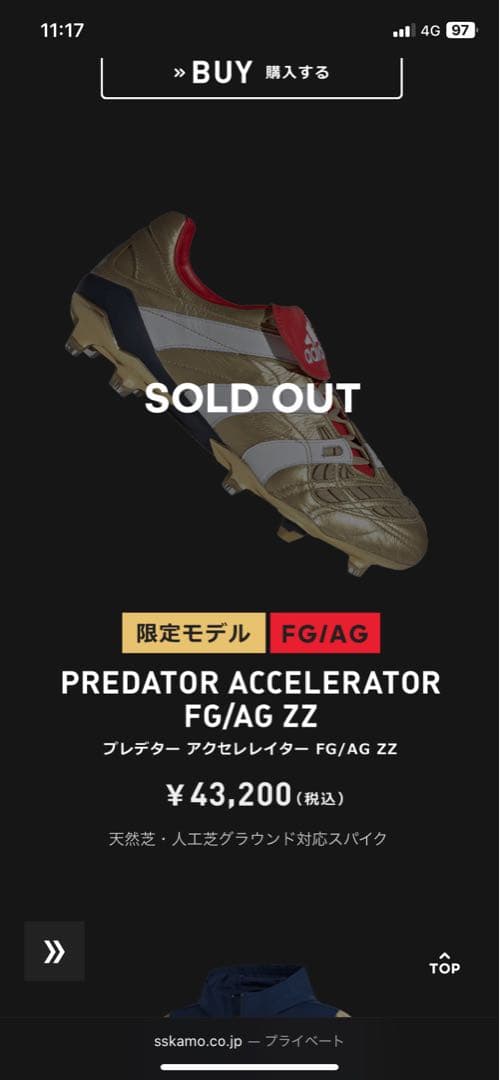 プレデターアクセレレイター　PredatorAccelerator　26cm新品