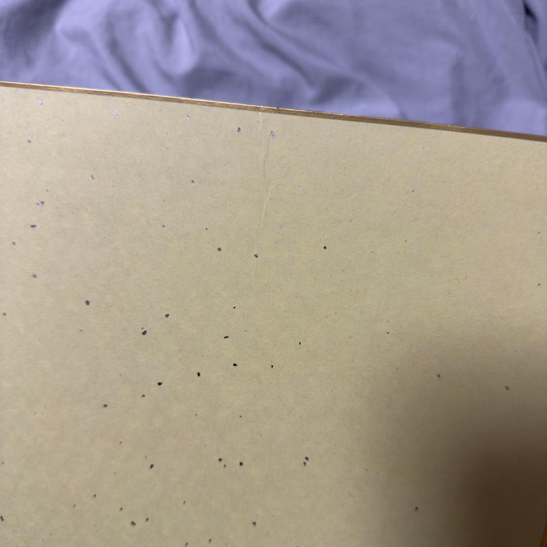 阪神タイガース 佐藤輝明選手 直筆サイン色紙