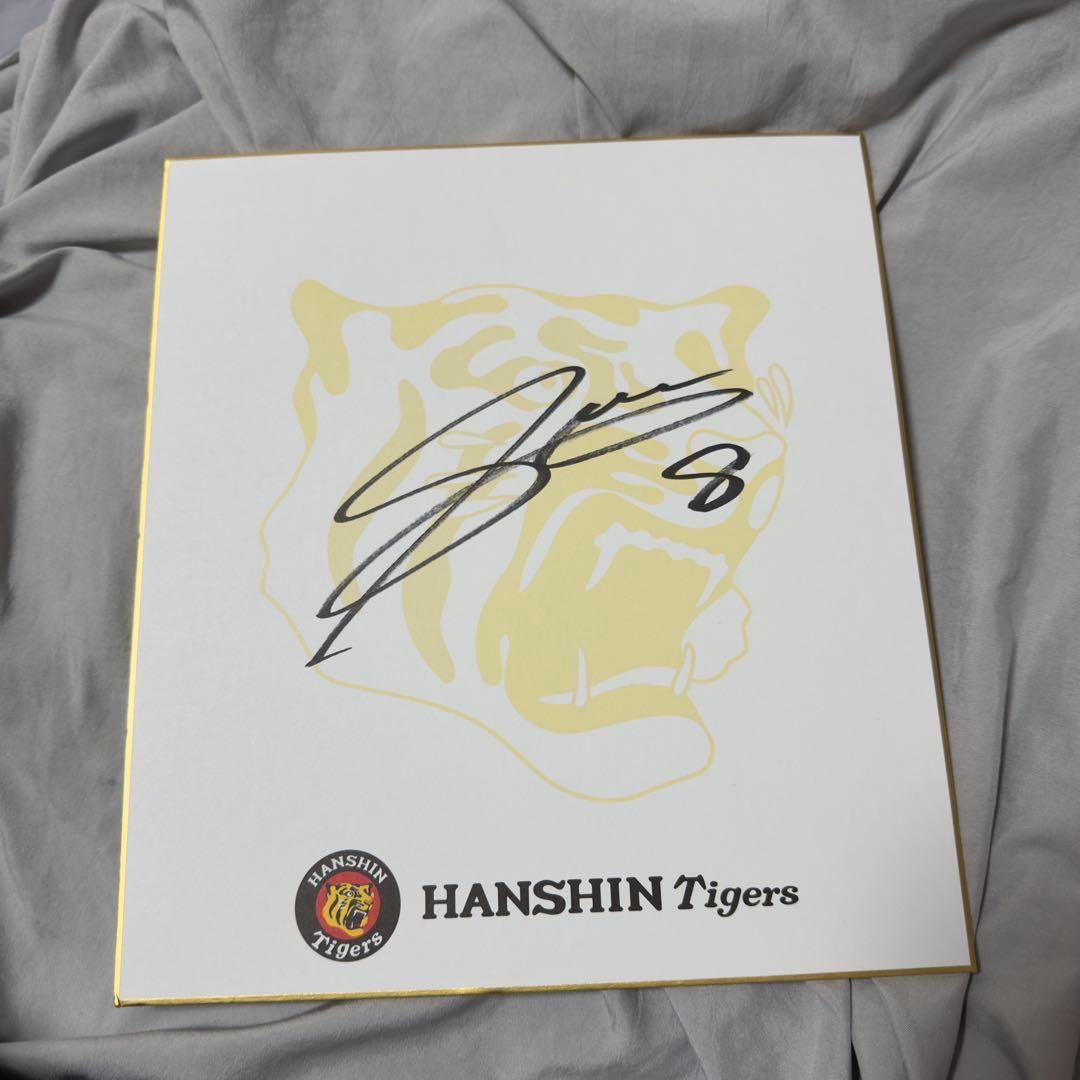 阪神タイガース 佐藤輝明選手 直筆サイン色紙