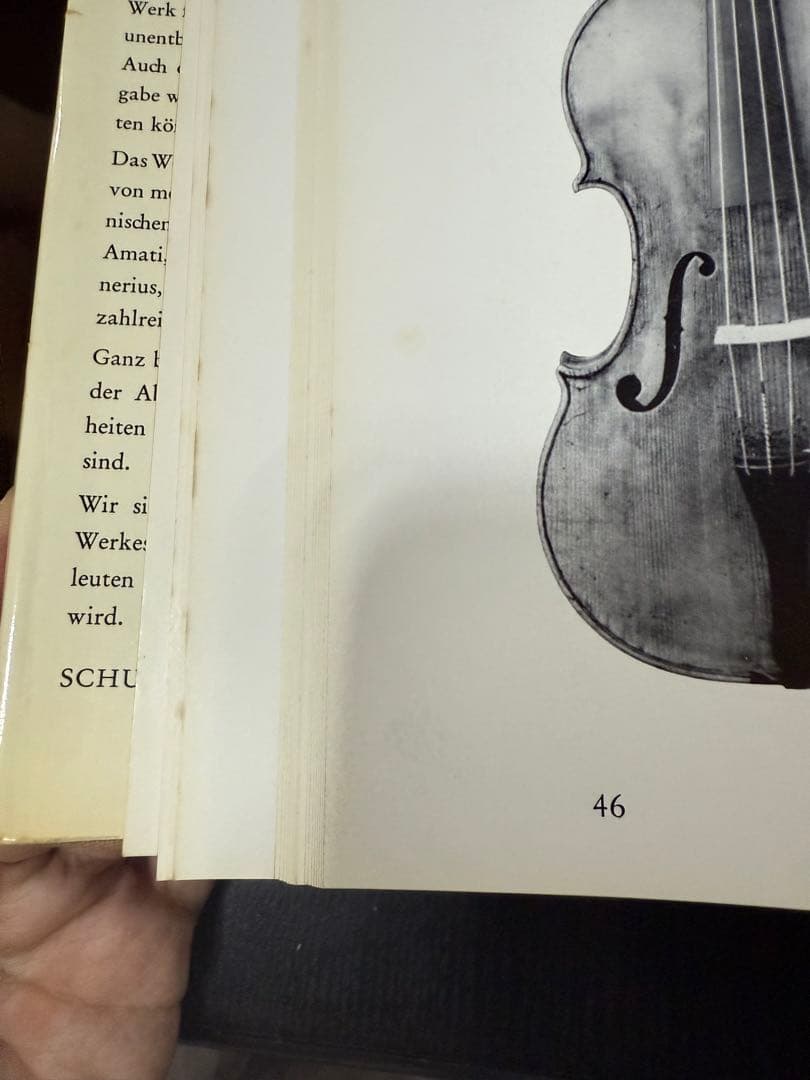 アート・デザイン・音楽 Walter Hamma Meister italienischer