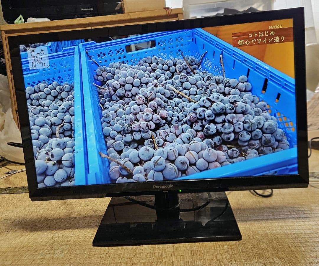 パナソニック Panasonic ビエラ TH-24G300 2020年製