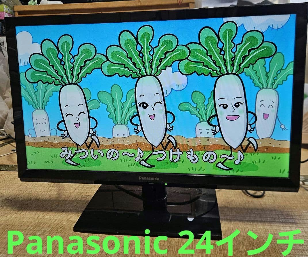 パナソニック Panasonic ビエラ TH-24G300 2020年製